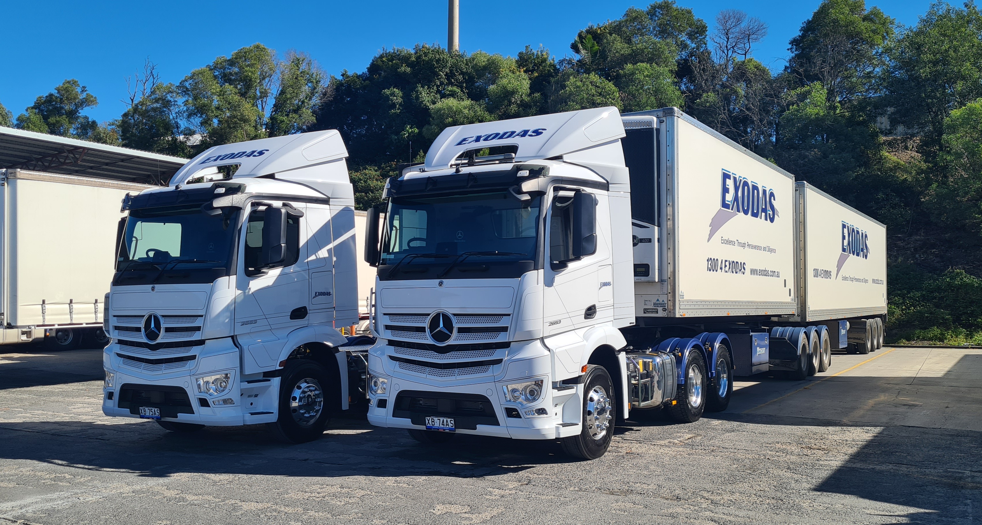 Mercedes-Benz 2653's M Cabs