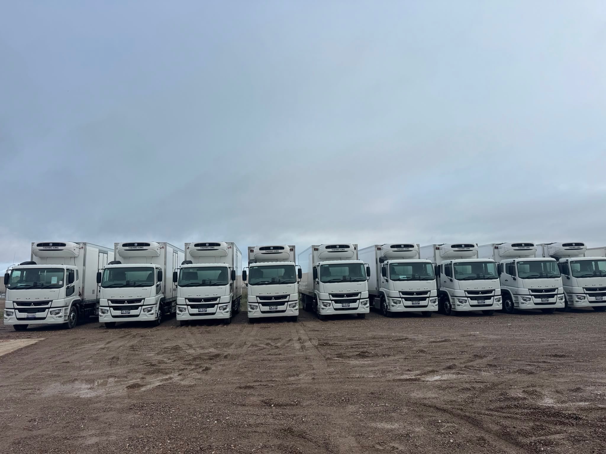 14 pallet Fuso Shoguns